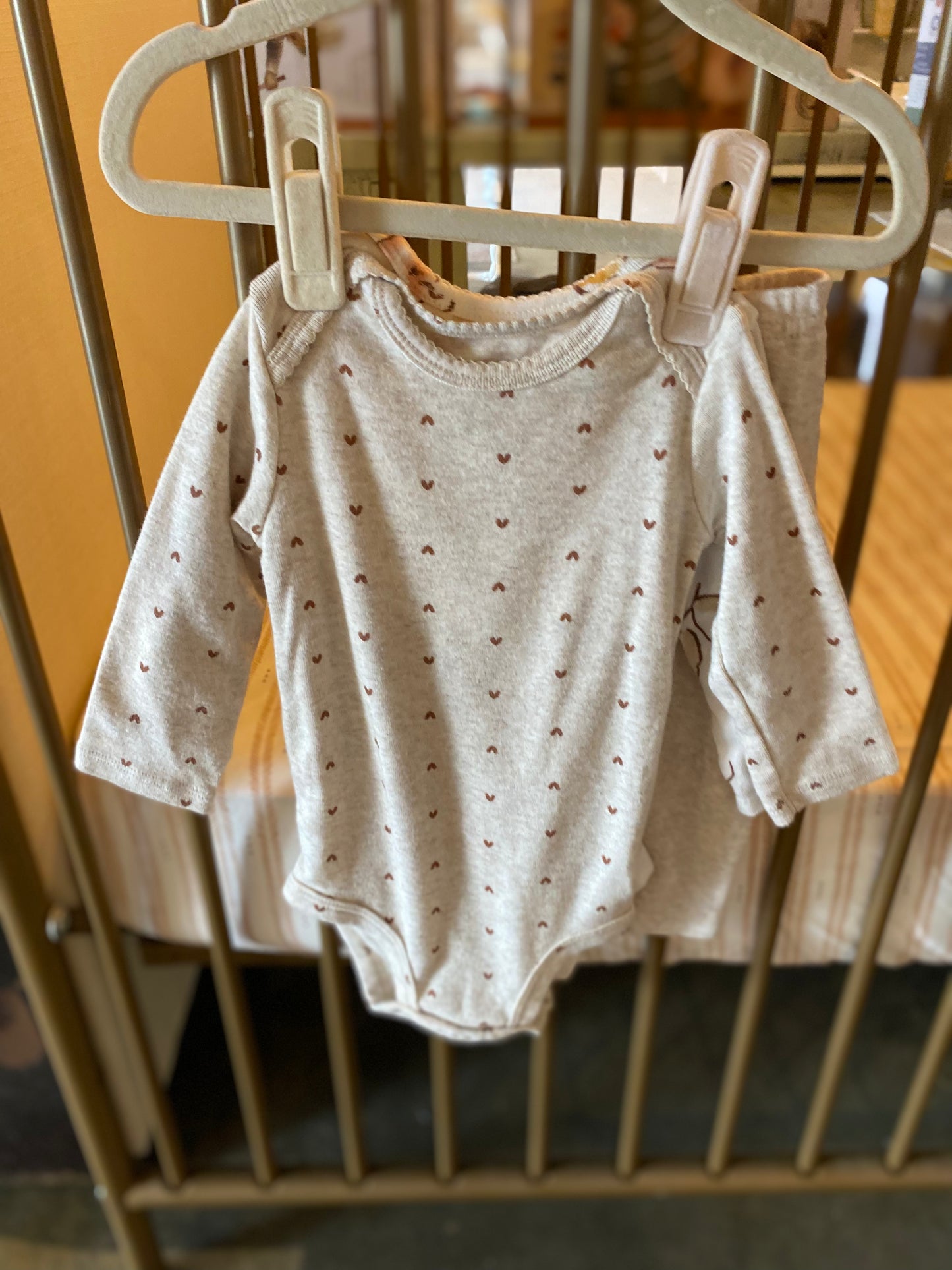 Carter's Flowers & Brown Hearts 3-Piece Outfit
