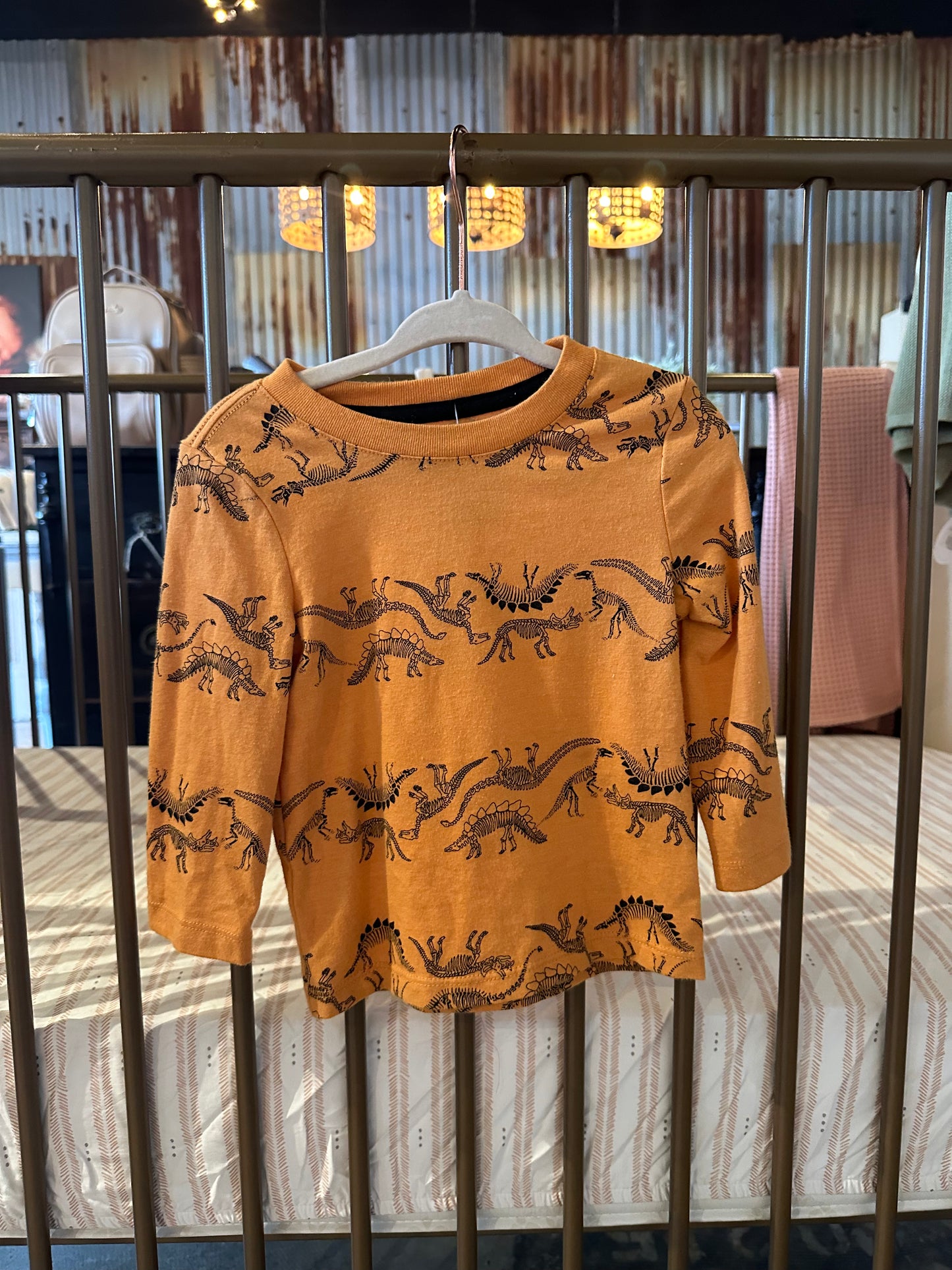 Cat & Jack Dinosaur Top