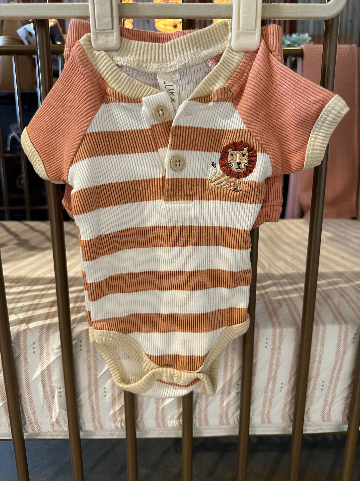Liam & James Lion 2-piece Outfit