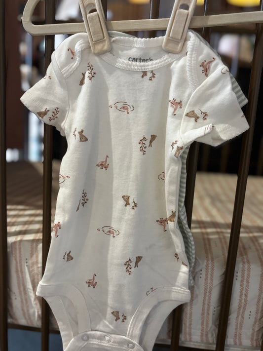2-Piece Green Stripped And Bunny Onesie Set