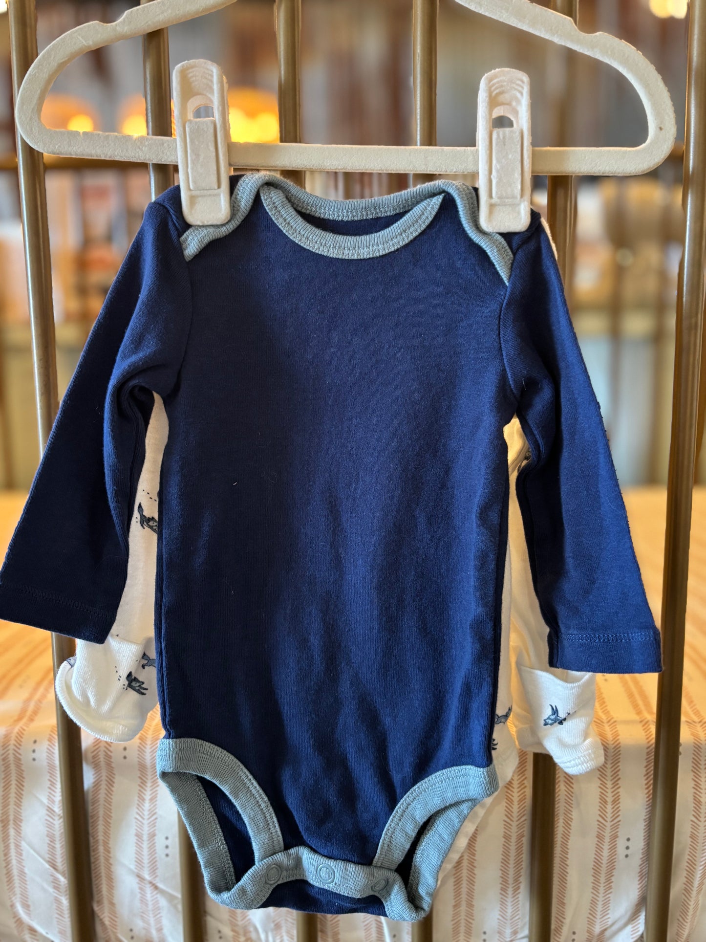 Carter's Blue Fox Onesies