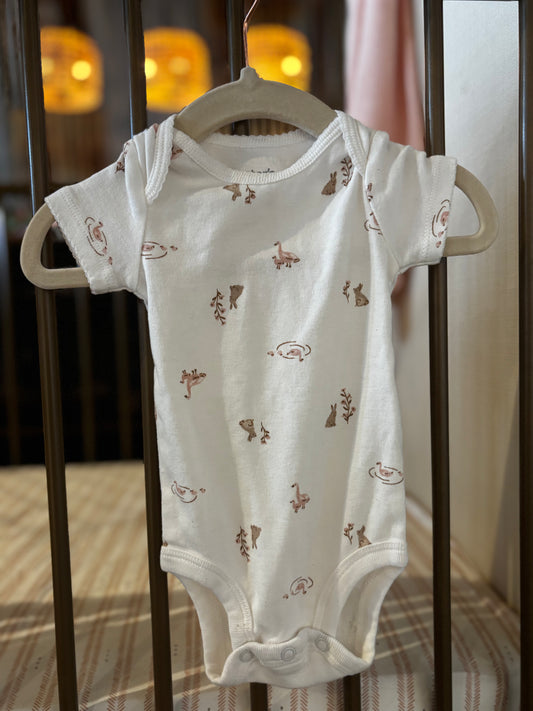 Carter's Bunny, Ducks, & Flowers 2-piece Onesies