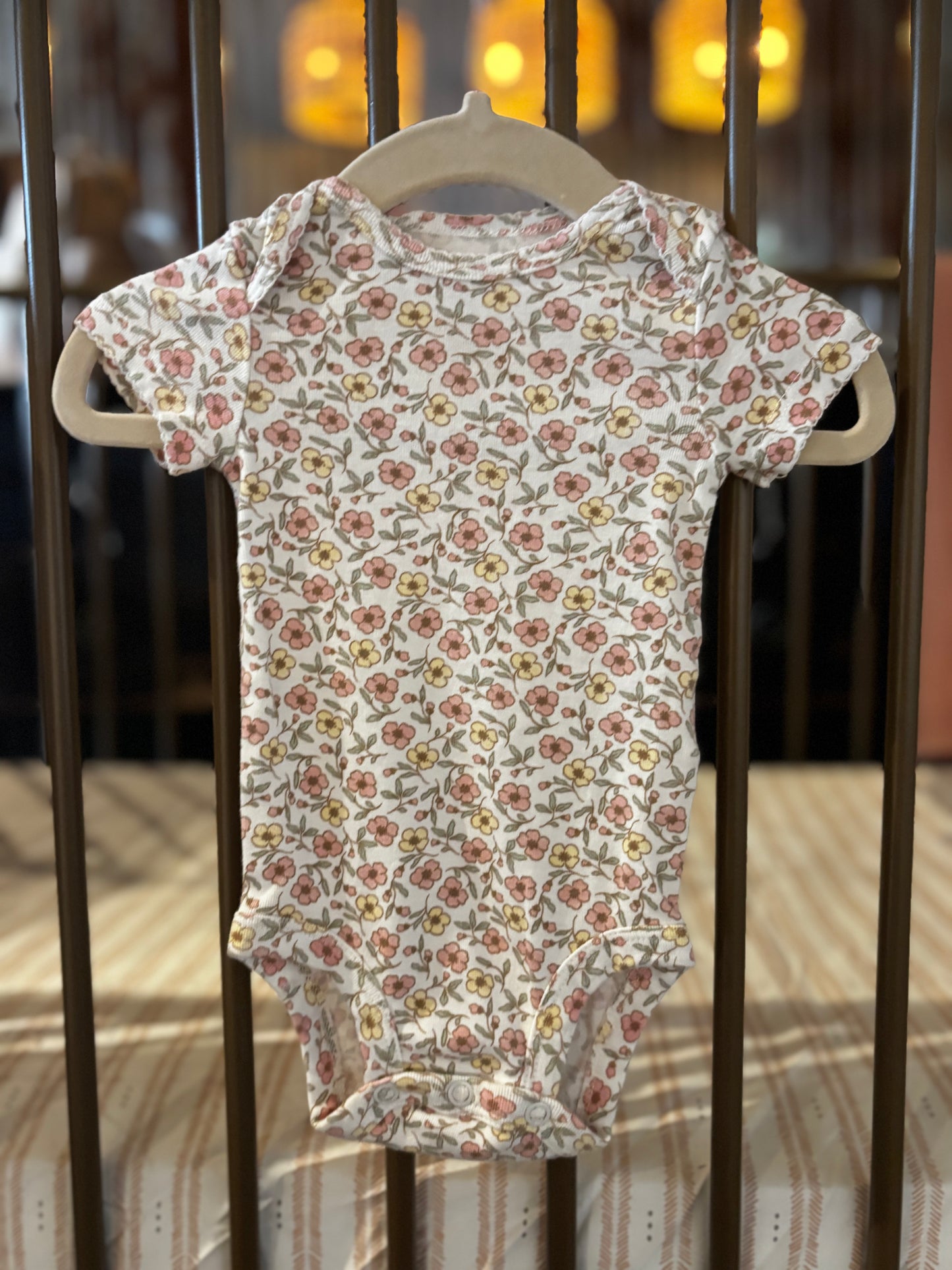 Carter's Bunny, Ducks, & Flowers 2-piece Onesies