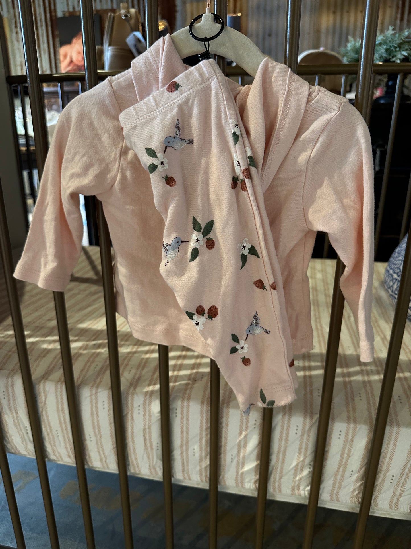 Carter's Light Pink Strawberry & Humming bird 2-piece Set