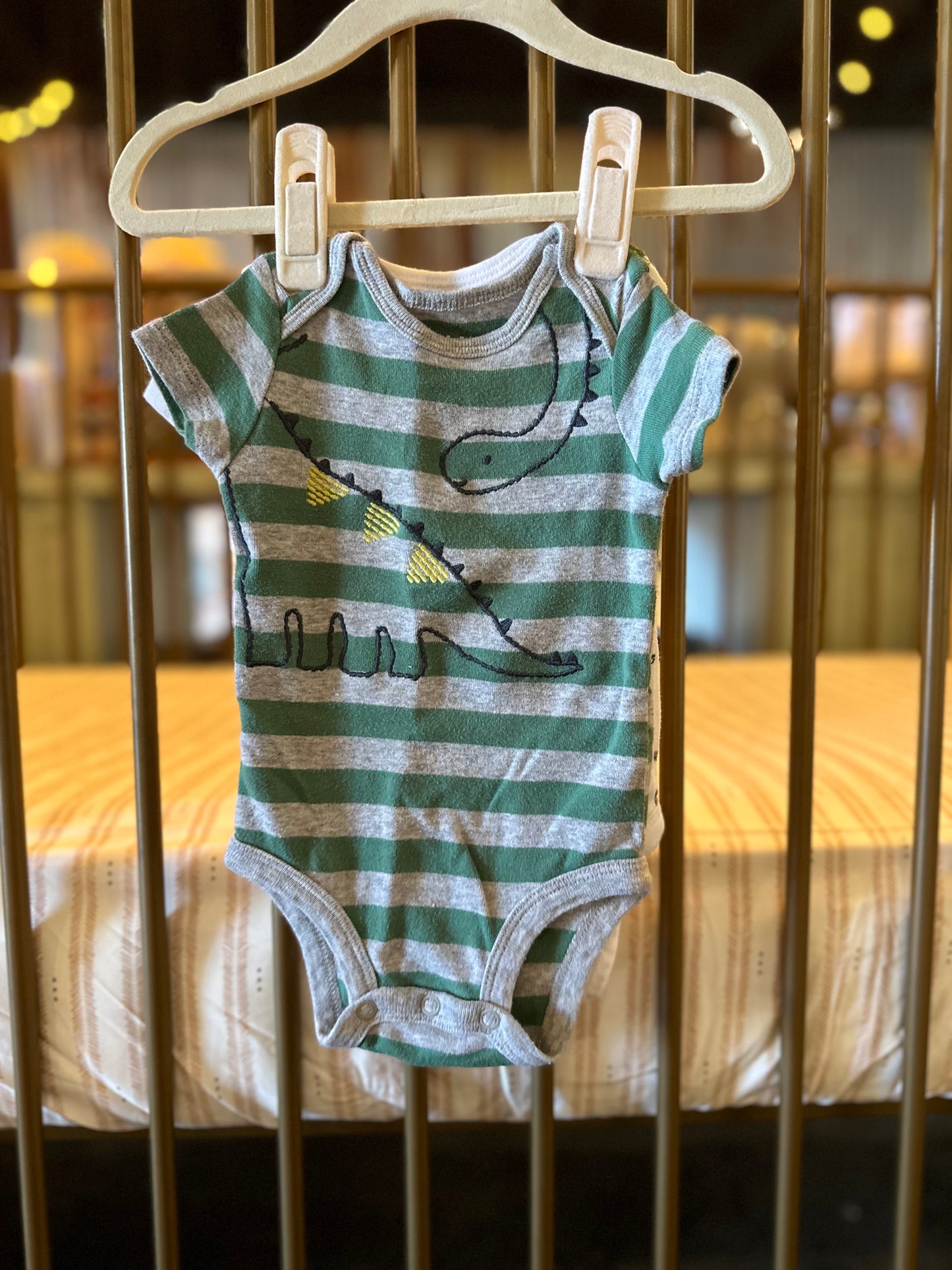 Child Of Mine Green Dino 2-piece Onesies