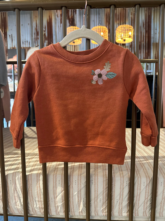 Garanimals Burnt Orange Crewneck
