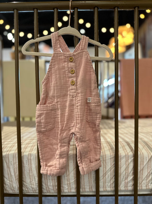 Little Planet By Carters Pink Overalls
