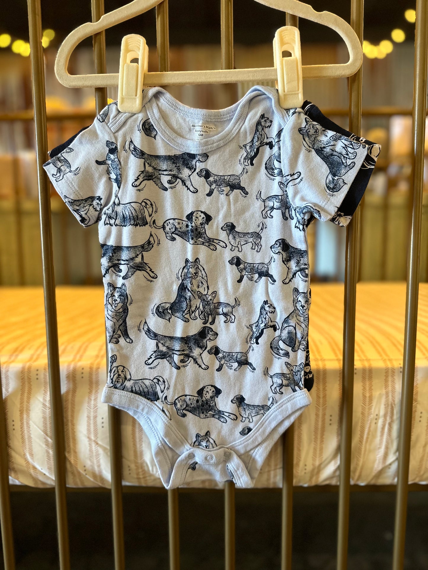 Member's Mark Boy & His Dog 2-piece Onesies