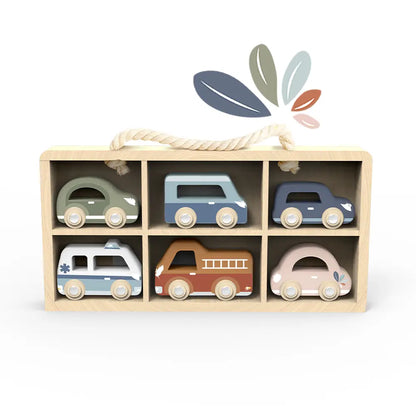 Toy Cars & Case